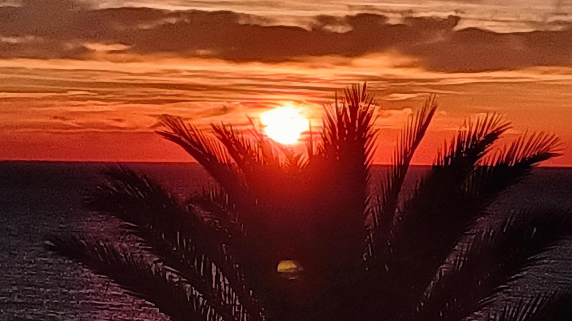 Playa Suites A 50 Metros De La Playa Sagunto Dış mekan fotoğraf